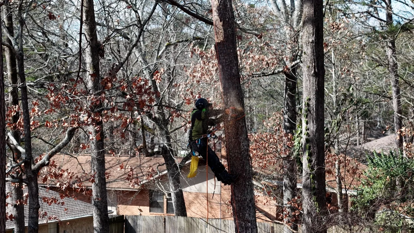 Tree service crew captured for Central Mississippi local business marketing